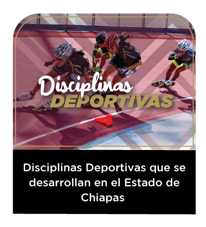 Disciplinas Deportivas